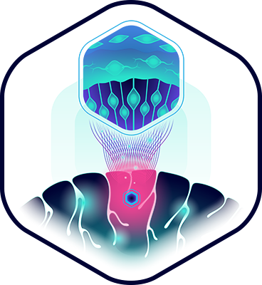 Illustration for the FRONT program.